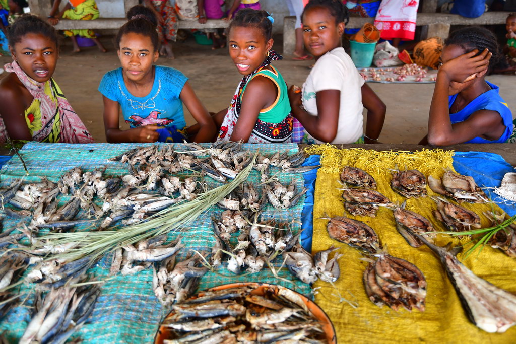 Morondava to Manja